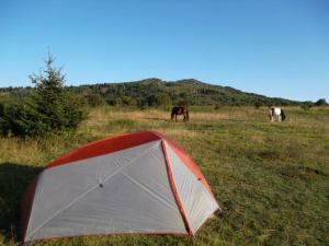 L.L. Bean Microlite. Grayson Highlands