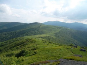Roan Mountain bald, Nc. 