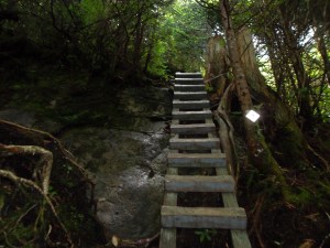 Grandfather Mountain, NC ladder