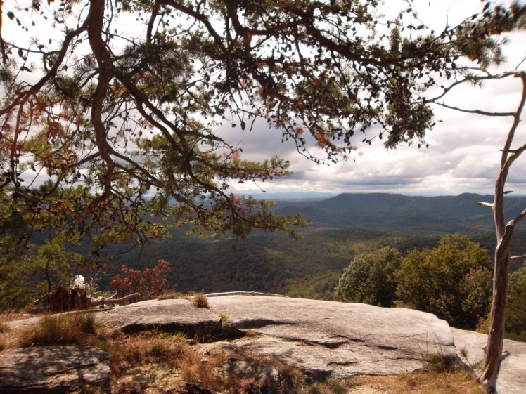 viewage Stone Mountain NC
