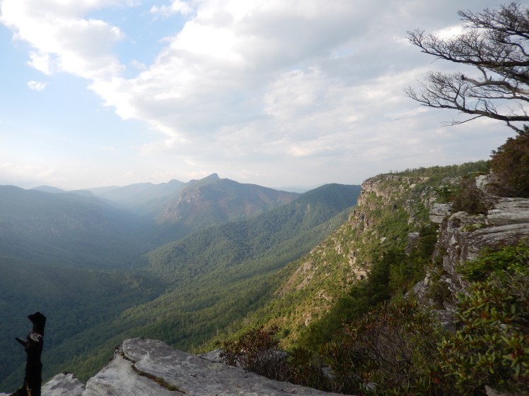 Linville Gorge Wilderness