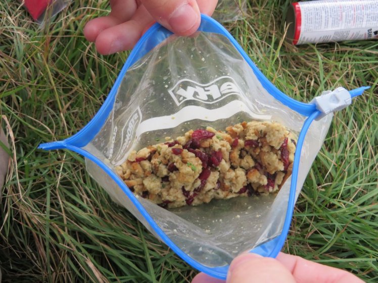 Backcountry Cranberry Chicken