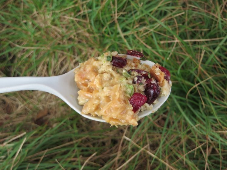 Backcountry Cranberry Chicken