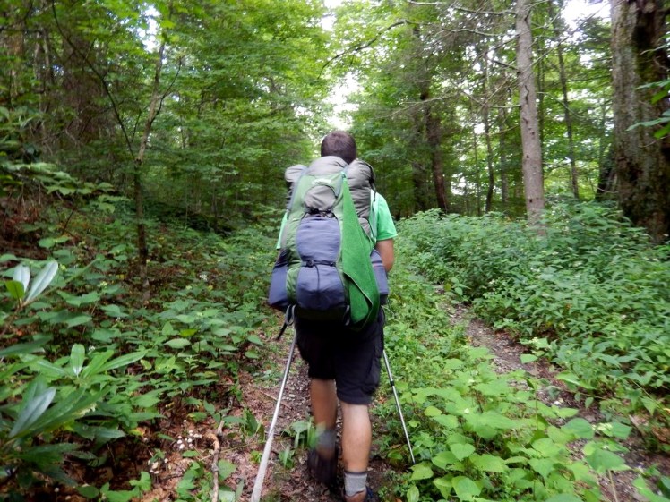 Crown V.C. 60 Review