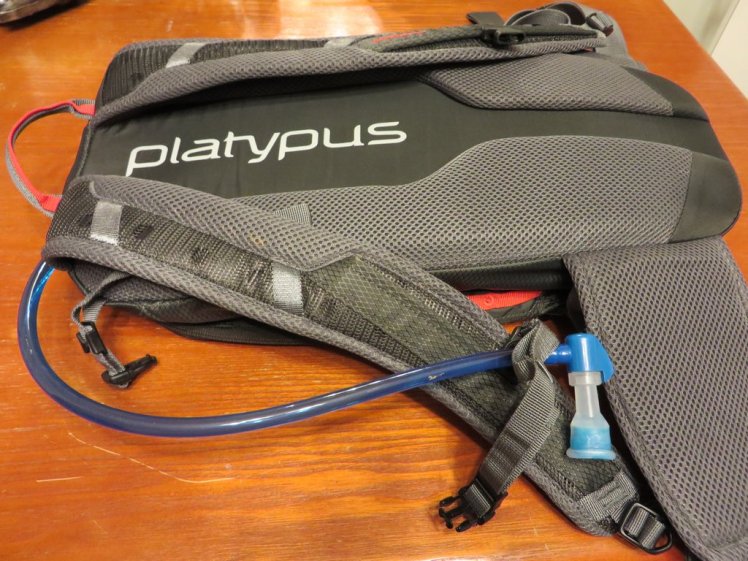 Duthie AM 10 by Platypus