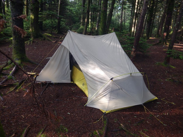 Holding strong after 12 hours of constant rain in the duff.