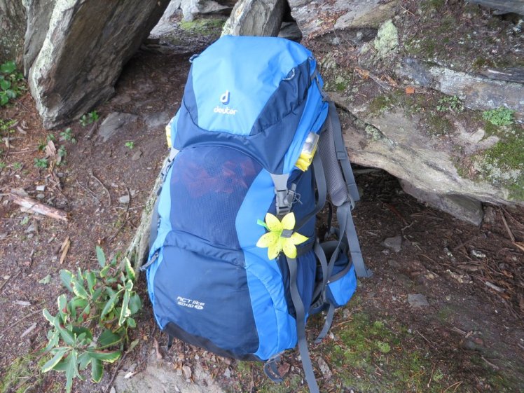 Deuter ACT Lite 60 SL Pack