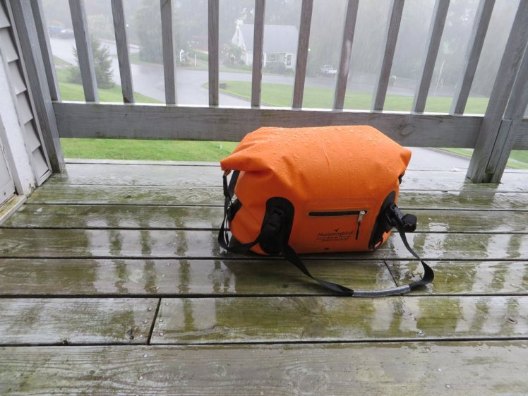 Hummingbird Wide mouth Carry on