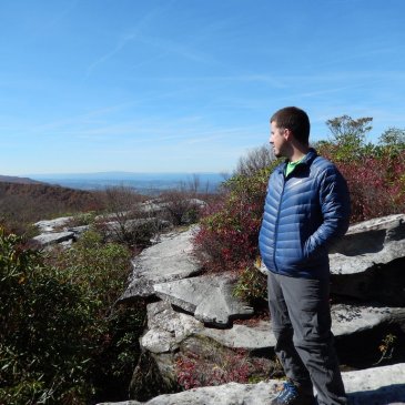 Helly Hansen Down Insulator