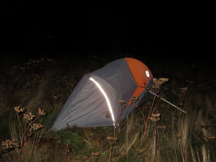 Holding true in hind winds, when properly pitched. 