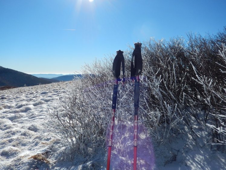 MSR Flight 3 Trekking Poles