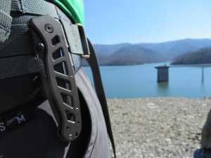 Coast FDX 302 Review