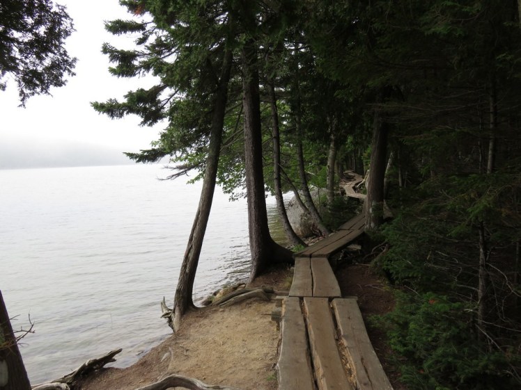 Jordan Pond Bog Walk