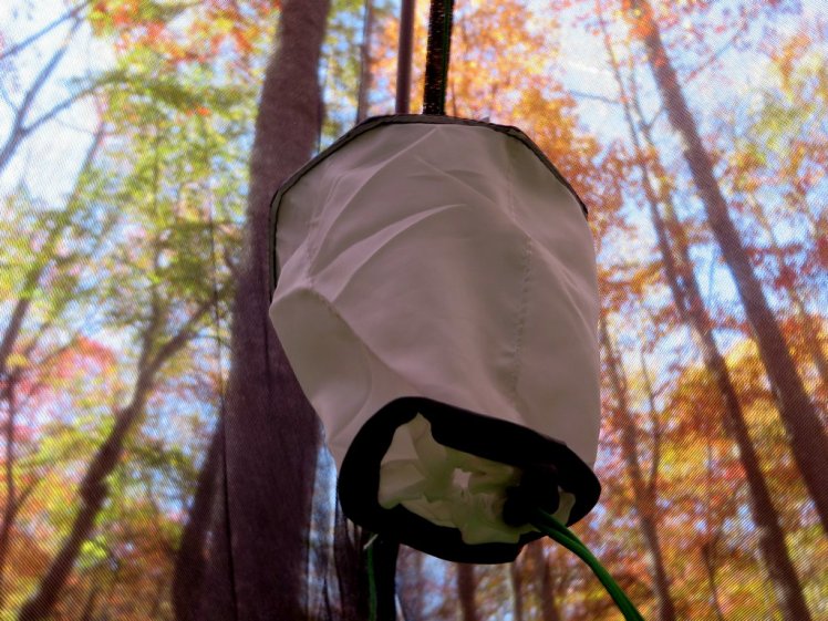 Sierra Designs Nightwatch 2