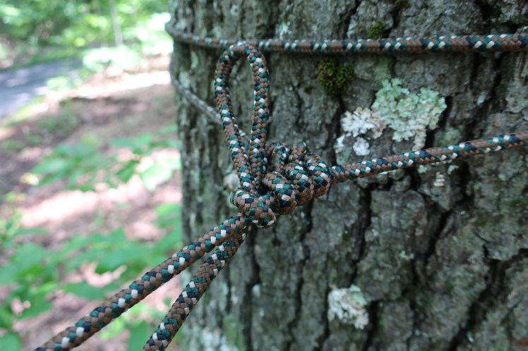 Hennessy Jungle Explorer Asym (IMG 2)