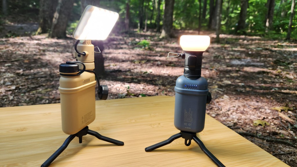 Nestout Review lights