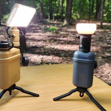 Nestout Review lights