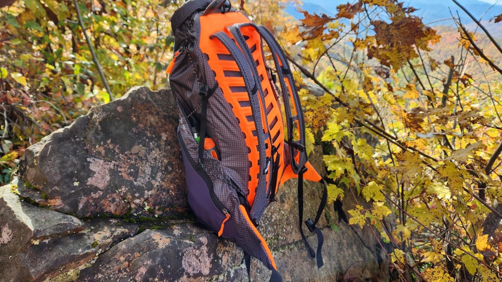 Salewa Pedroc Pro 22L Backpack