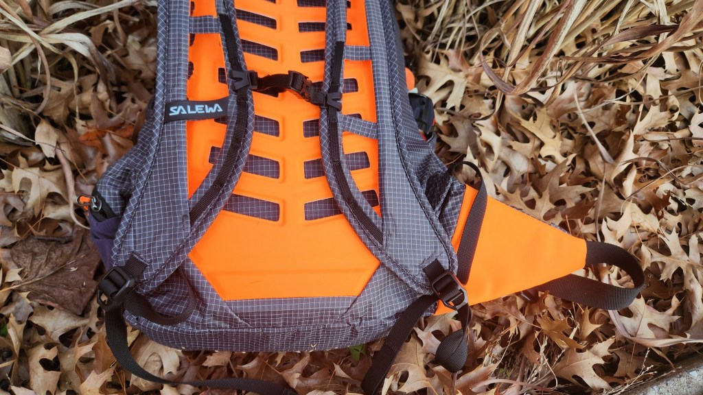 Salewa Pedroc Pro 22L Backpack hip straps