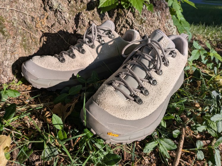 Danner MTN 45 shoes